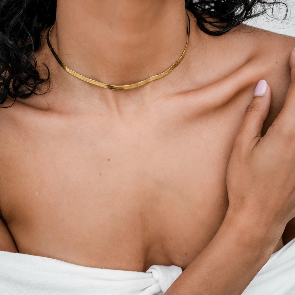 Snake Chain Choker